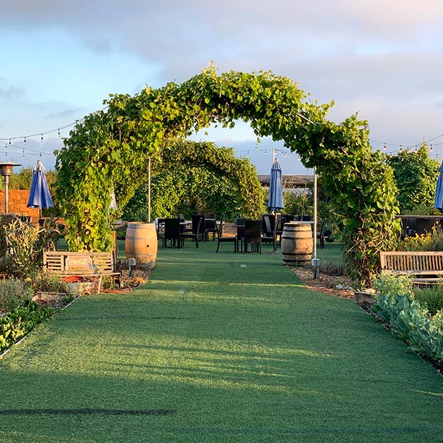 Vine arches at Public Domain Wines