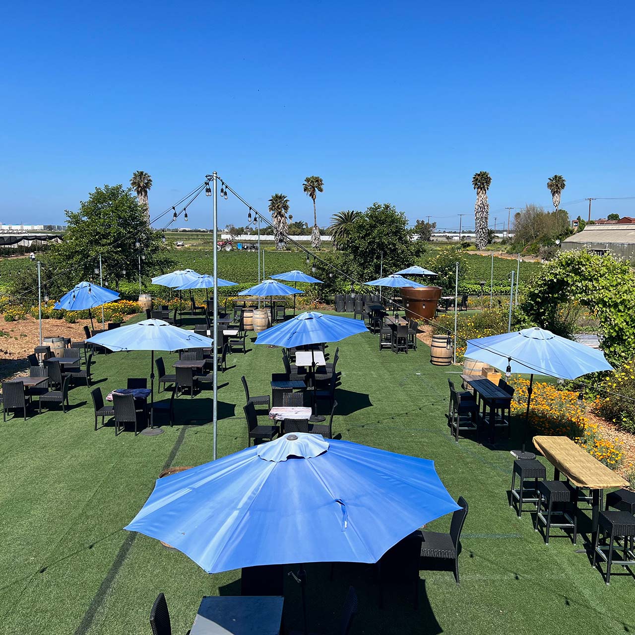 Outdoor tasting area at Public Domain Wines with blue umbrellas